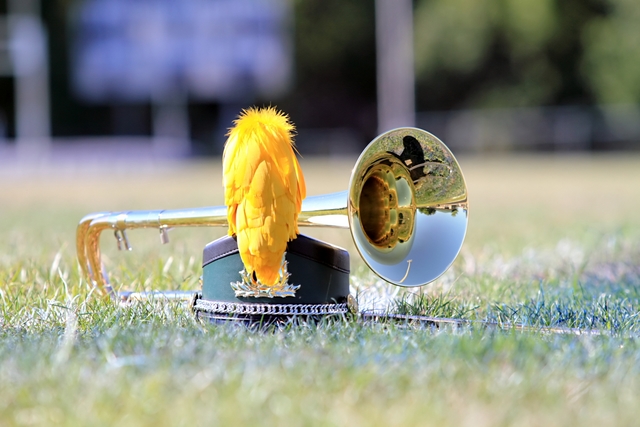 Rath trombone
              and hat September 2010